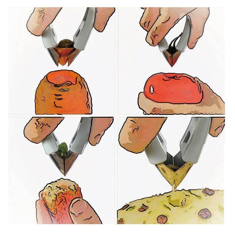 BowLift | Fruit Stem Remover Tweezer Tool