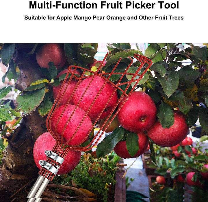 High Branch Fruit Picker | Bowlift