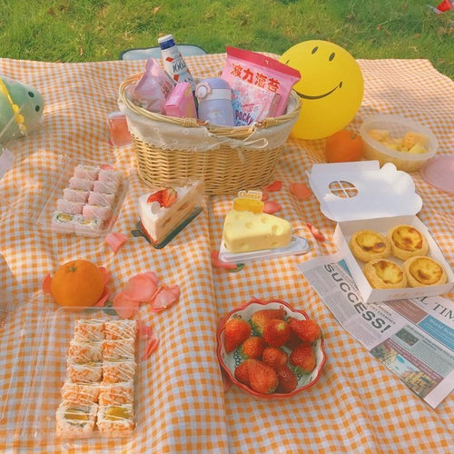 BowLift | Clementine Gingham Picnic Blanket