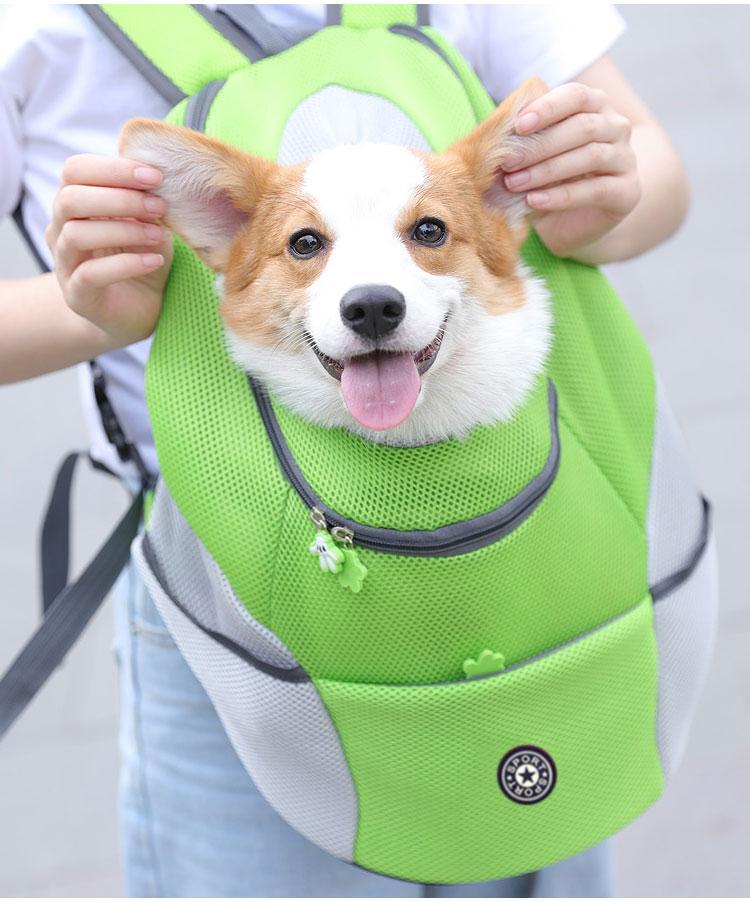 BowLift | Pet Carrier Backpack | Comfortable, Secure & Perfect for Outdoor Adventures with Your Dog