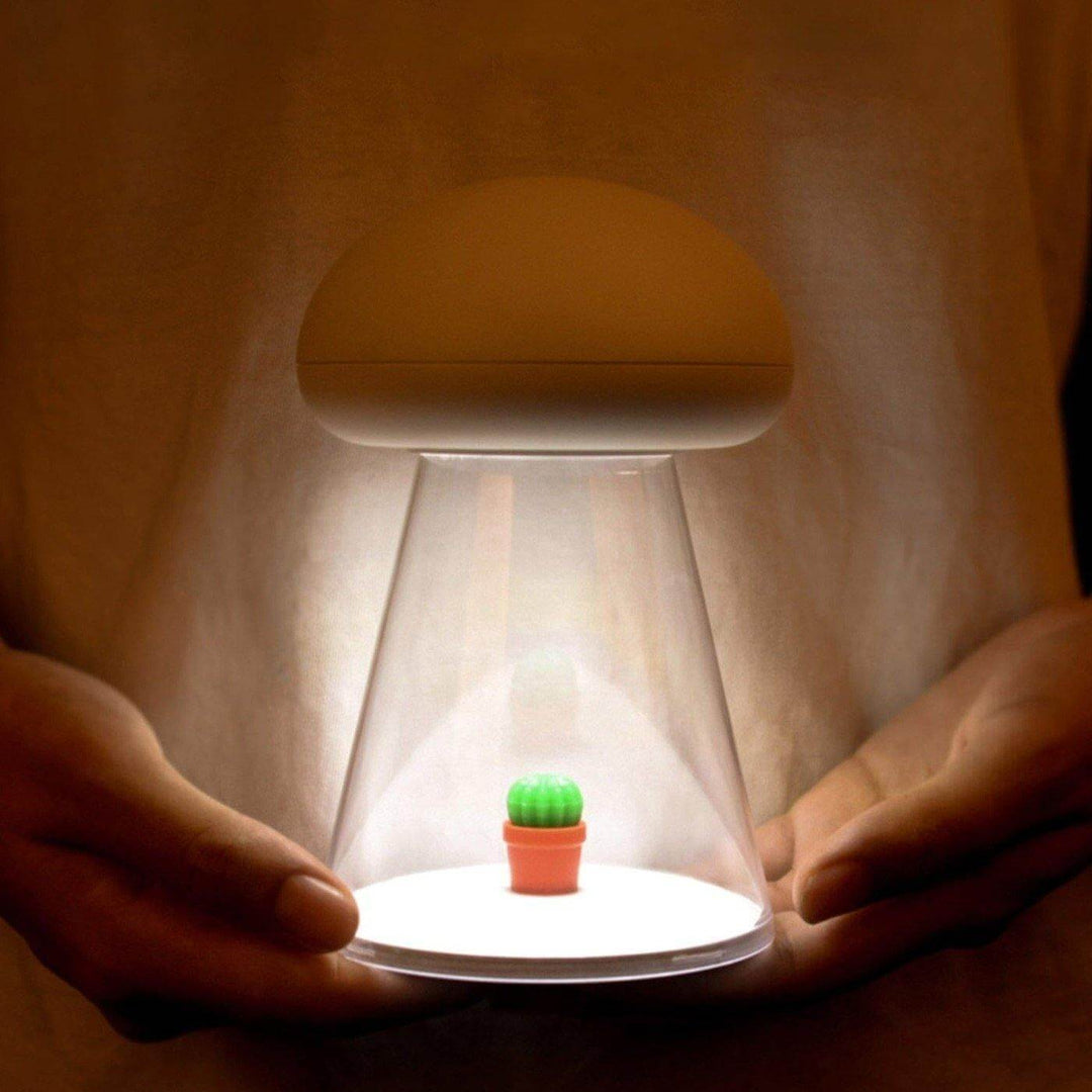 BowLift | Rechargeable White Cactus USB Mushroom Night Lamp