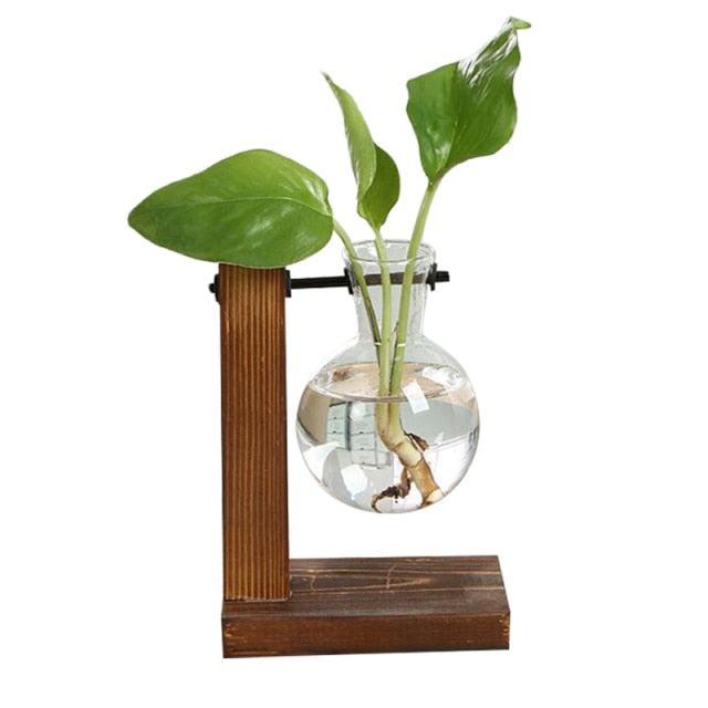 BowLift | Terrarium Hydroponic Vintage Tabletop Vase