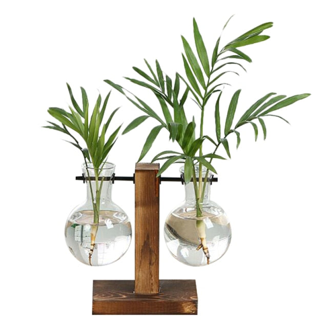 BowLift | Terrarium Hydroponic Vintage Tabletop Vase