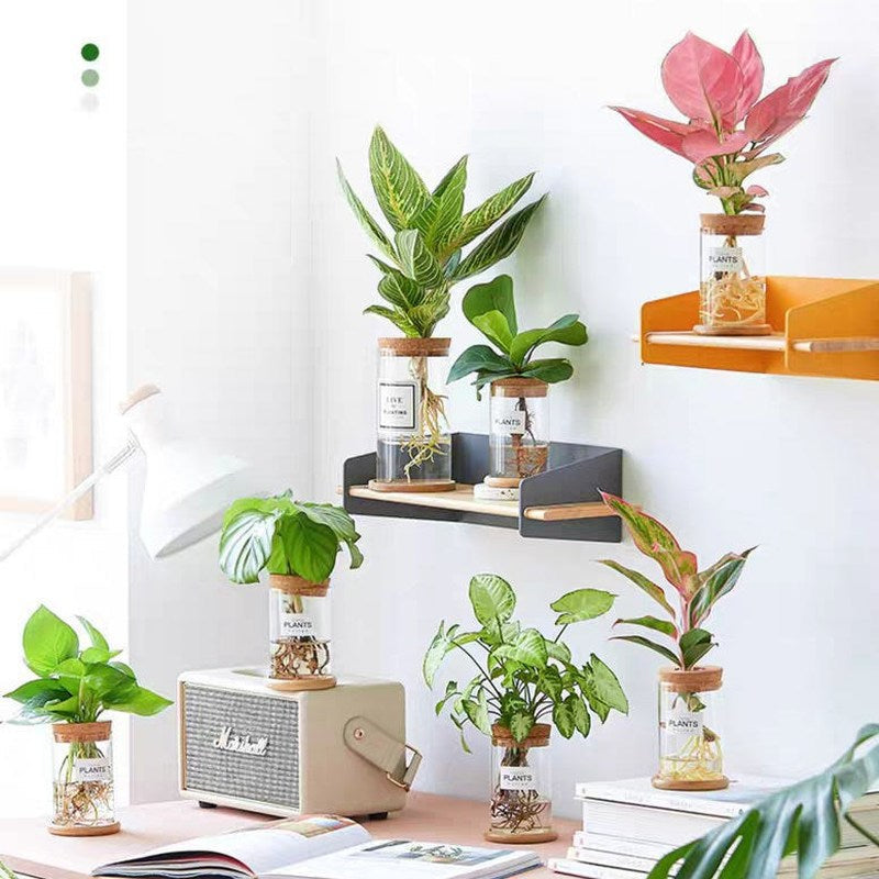 BowLift | Nordic Transparent Glass Wooden Flower Vase