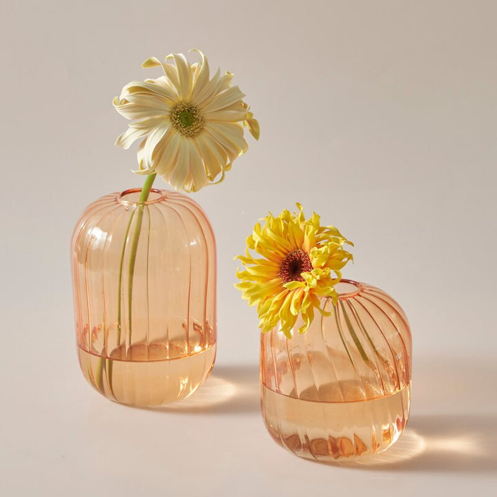 Colourful Glass Globe Vase | Bowlift
