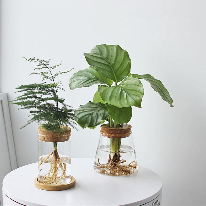 BowLift | Nordic Transparent Glass Wooden Flower Vase