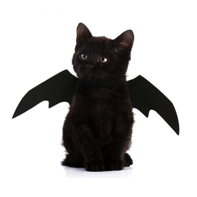 BowLift | Pet Costume Bat Wing
