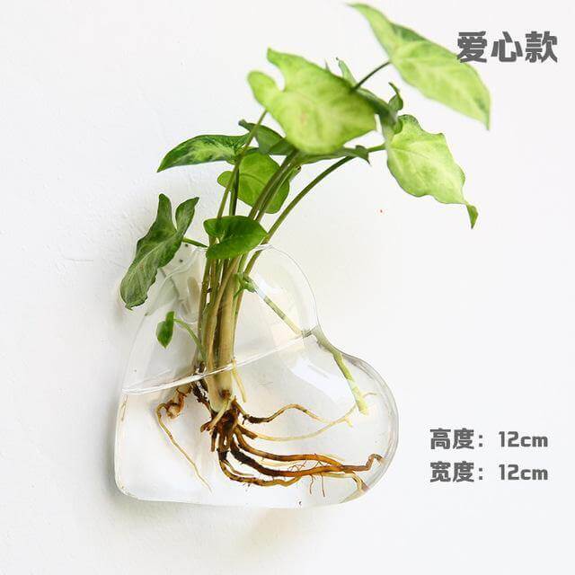 BowLift | Handmade  New Hexagonal  Wall Clear Terrarium Vase