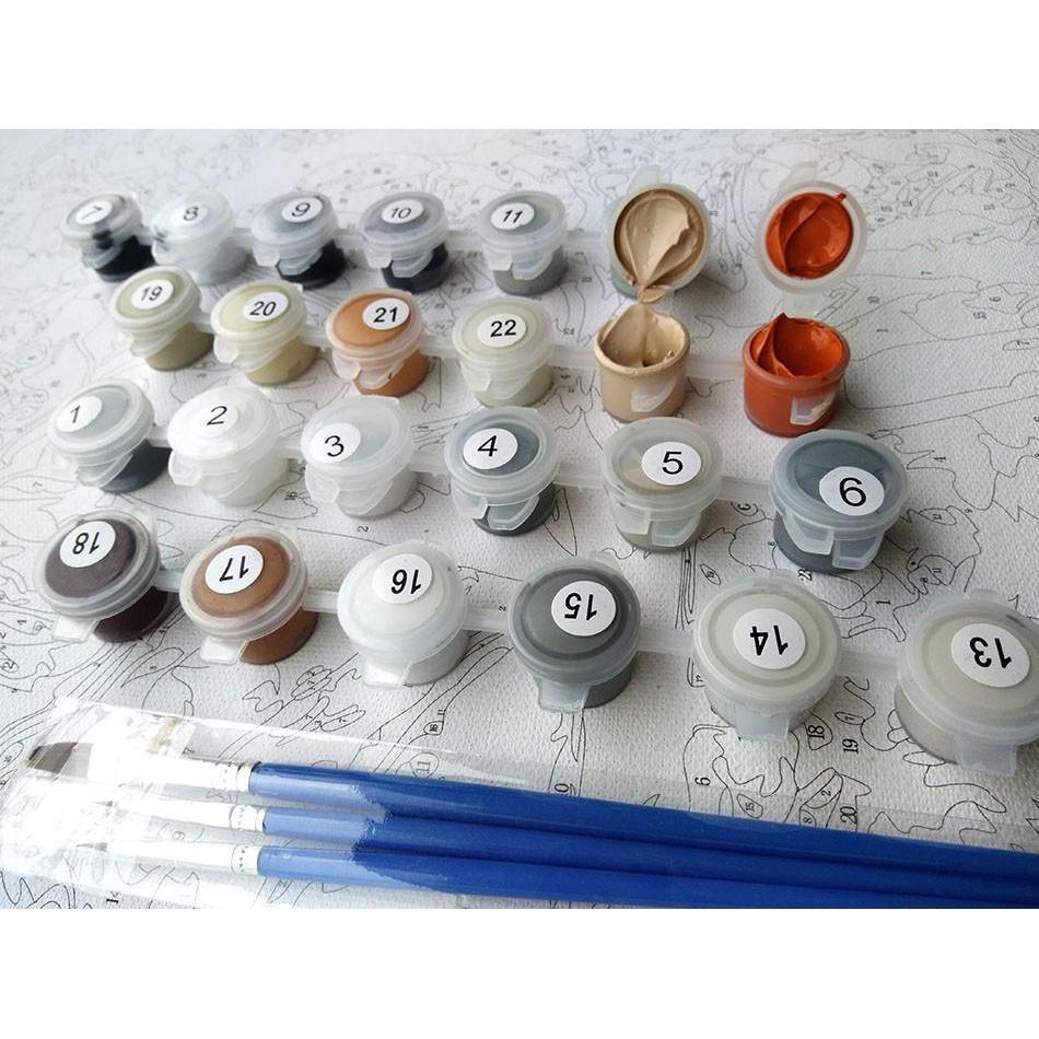 BowLift | European Flowers - Van-Go Paint-By-Number Kit