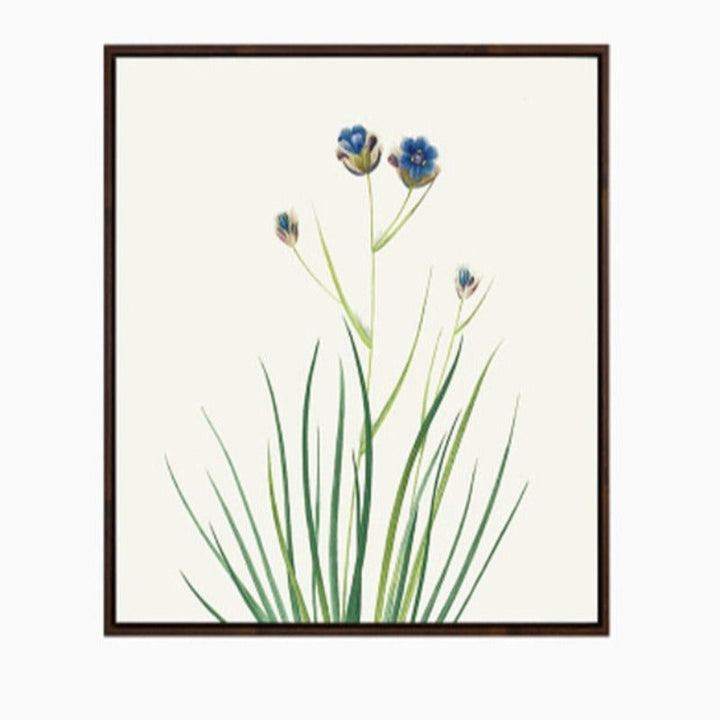 Flower Canvas Painting Nature Posters  - Canvas Wall Art Painting | Bowlift