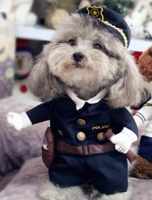 BowLift | Policeman Dog Costume