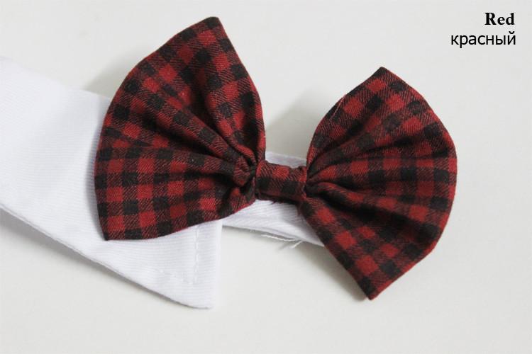 Dapper Pet Bow-Ties - For Cats & Dogs | Bowlift
