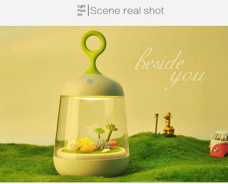 BowLift | Novelty USB Charging LED Colorful Micro-landscape Plant Light
