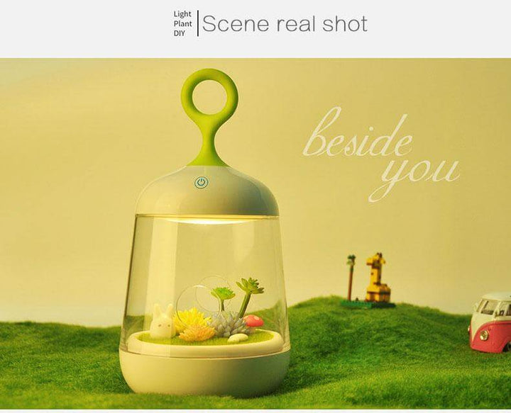 BowLift | Novelty USB Charging LED Colorful Micro-landscape Plant Light