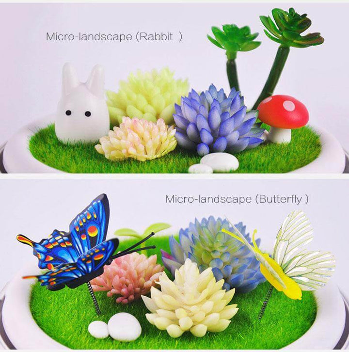 BowLift | Novelty USB Charging LED Colorful Micro-landscape Plant Light