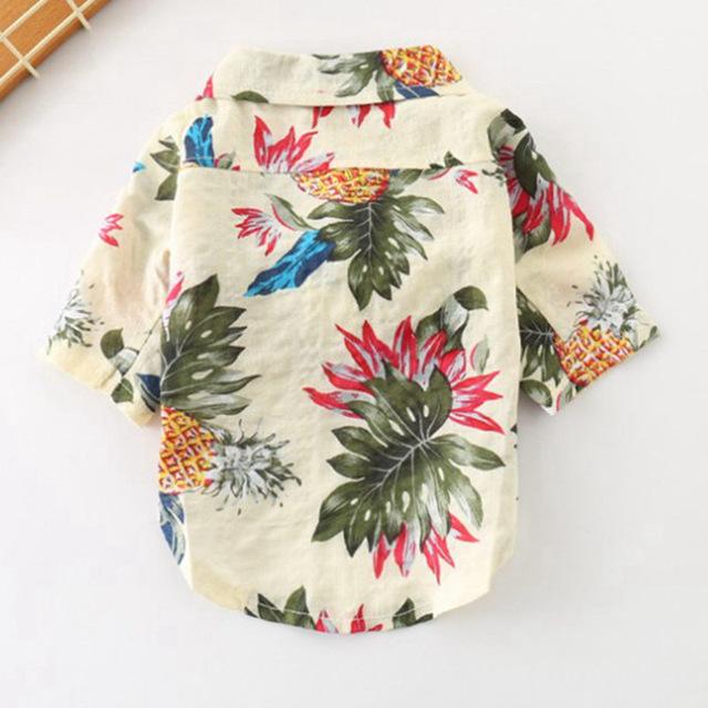 Frenchie  Summer Shirt | Bowlift