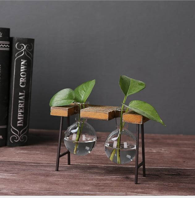 BowLift | Creative Home Decoration Hydroponic With Iron Feet Plant Vase