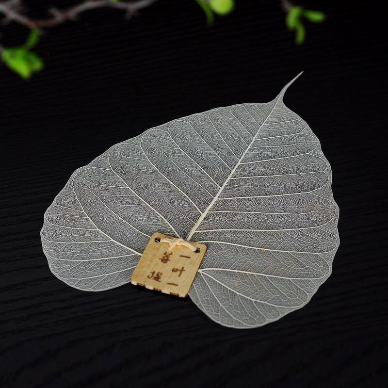 BowLift | Large Leaf Tea Filter