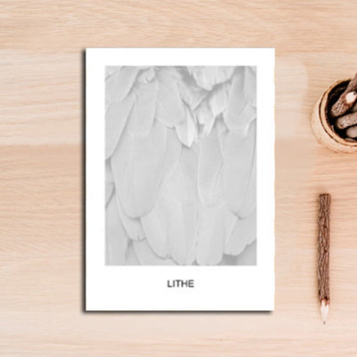 Black And White Feather - Canvas Wall Art Painting | Bowlift