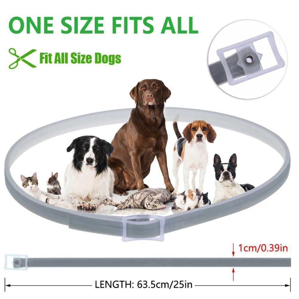 BowLift | Tick and Flea Eliminating Dog Collar