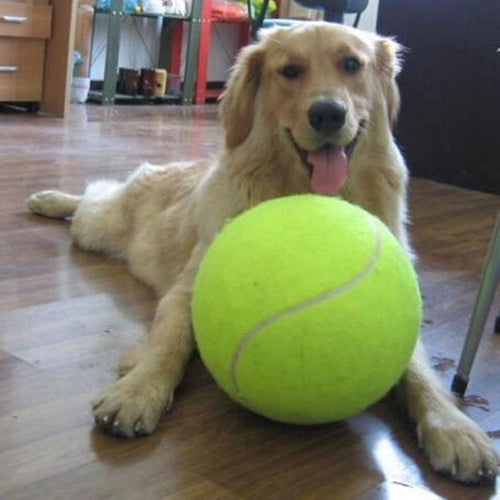 The Giant Tennis Ball | Bowlift