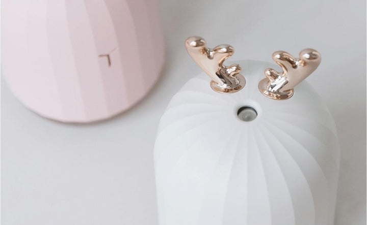 Aroma Essential Oil Diffuser | Bowlift