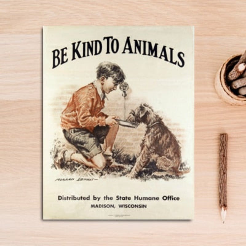 Vintage Be Kind to Animals - Canvas Wall Art Painting | Bowlift