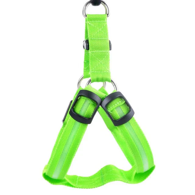 GlowSafe LED Dog Harness Bowlift