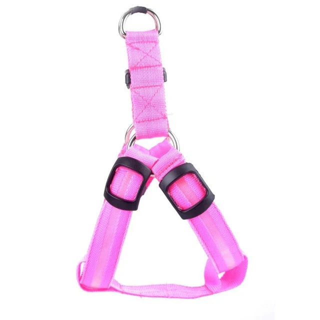 GlowSafe LED Dog Harness Bowlift