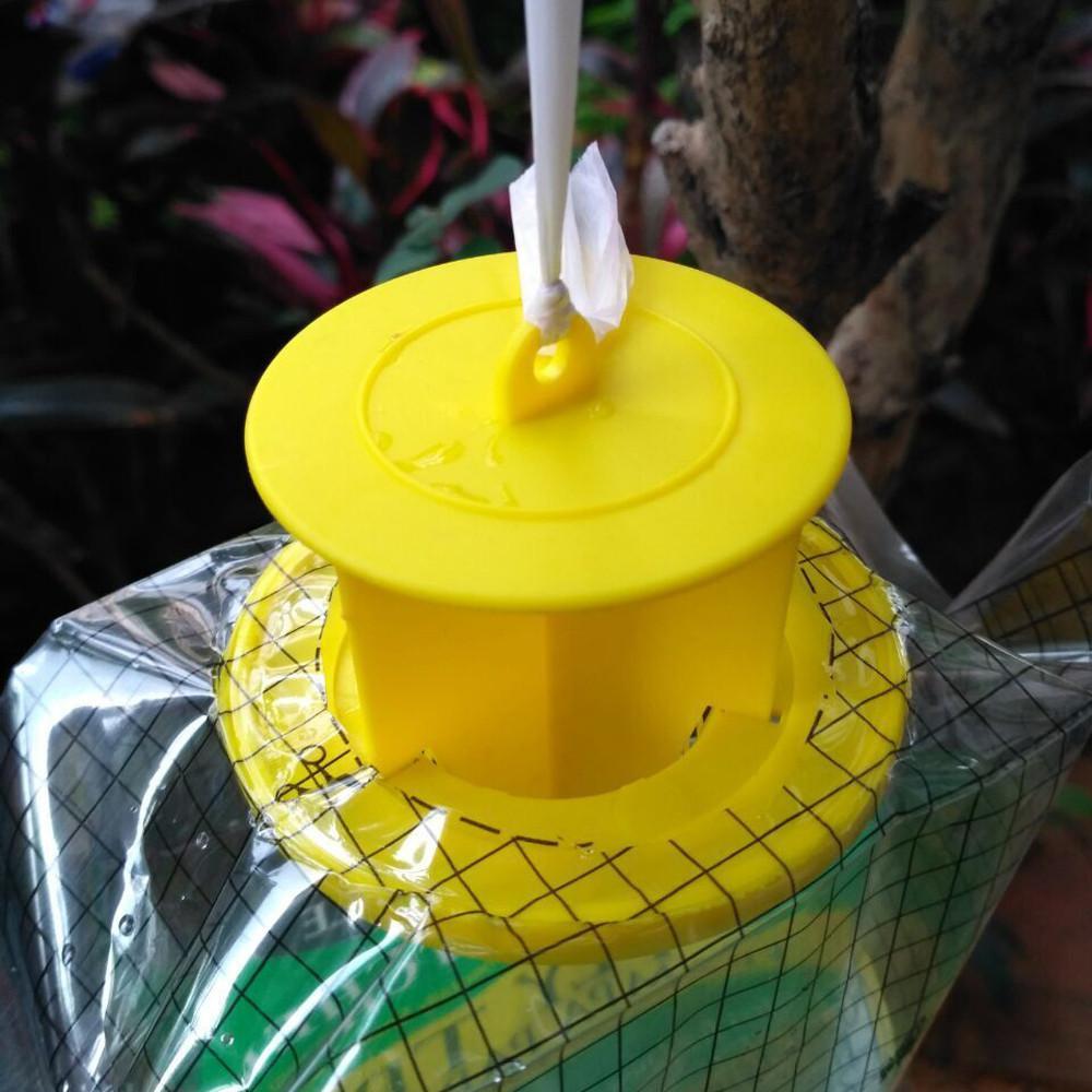 BowLift | Disposable Fly Trap