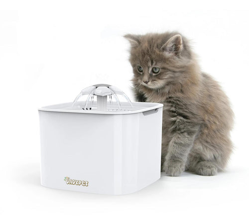 AutoDrinker - Pet Water Fountain | Bowlift