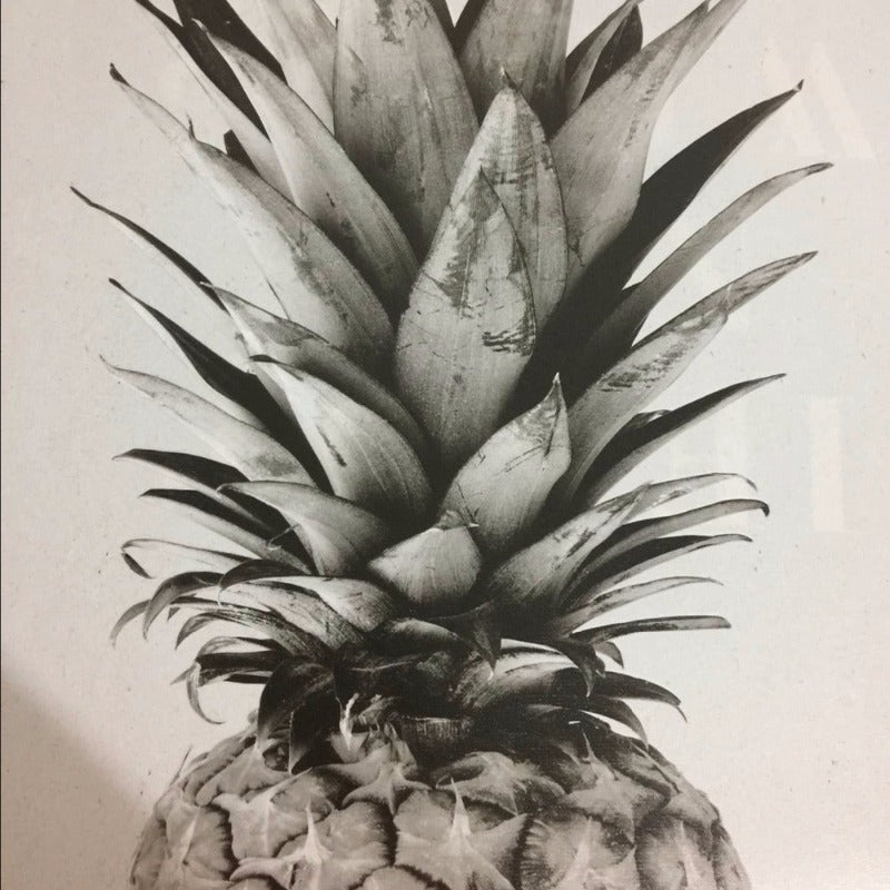 Pineapple Be Brave & Kind Classic Quotes - Canvas Wall Art Painting | Bowlift