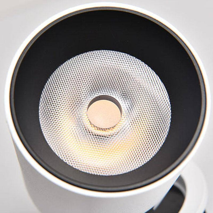 LumiSpot - Modern Adjustable LED Spotlight 12W | Bowlift