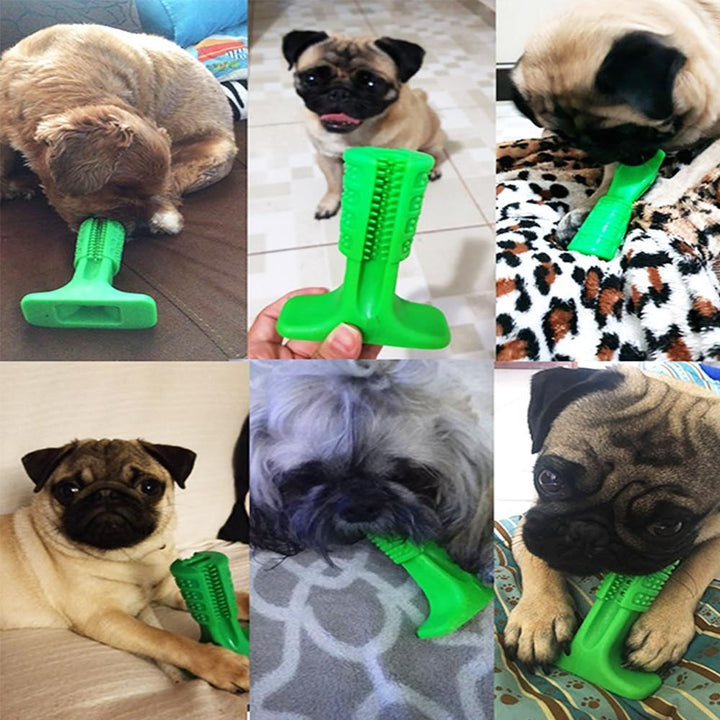 BowLift | Dog Brushing Stick