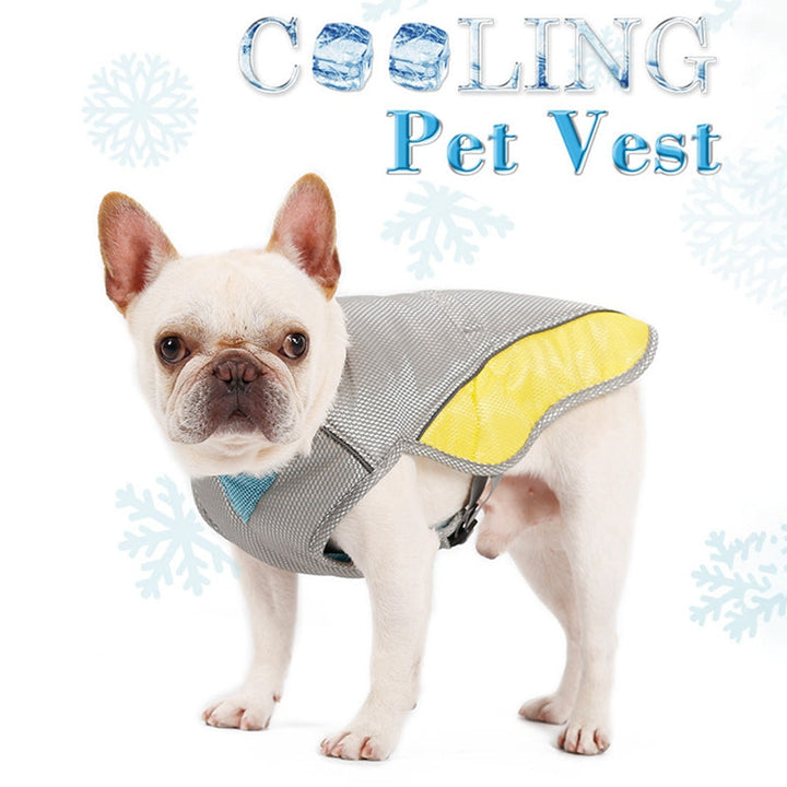 Coolify™ : Cooling Vest for Frenchie (CS13) | Bowlift