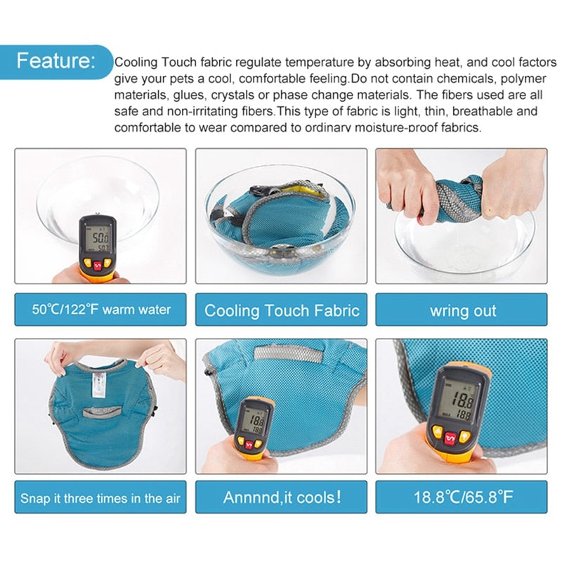 Coolify™ : Cooling Vest for Frenchie (CS13) | Bowlift