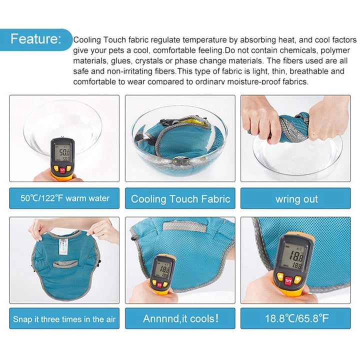 Coolify™ : Cooling Vest for Frenchie (CS13) | Bowlift
