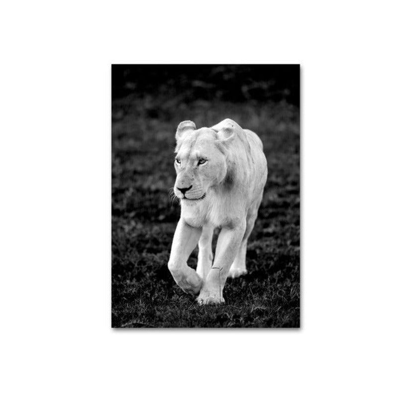 Africa Wild Big Cats - Canvas Wall Art Painting | Bowlift