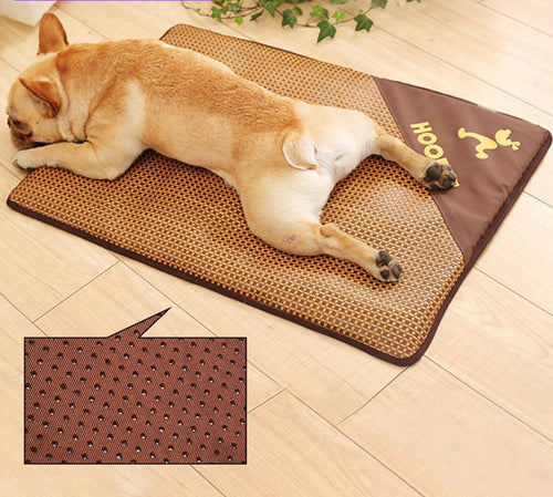 Baxter - Summer Time Cooling Pet Mat | Bowlift