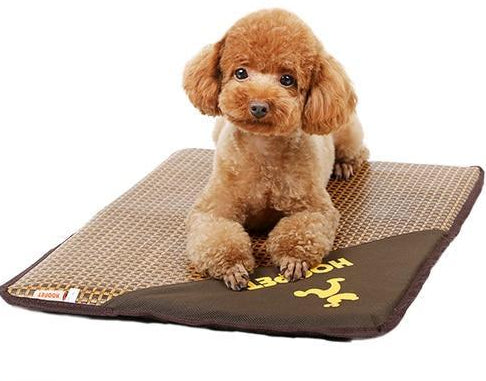 Baxter - Summer Time Cooling Pet Mat | Bowlift