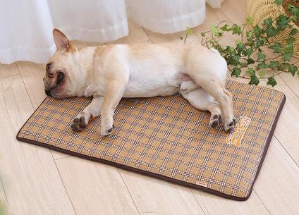 Baxter - Summer Time Cooling Pet Mat | Bowlift