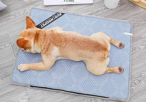Baxter - Summer Time Cooling Pet Mat | Bowlift