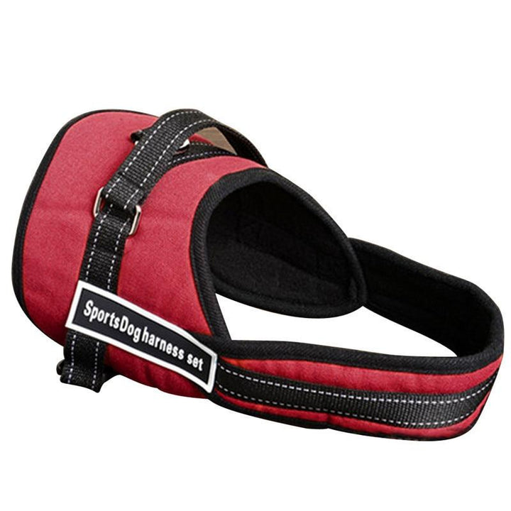 Dog Walking Harness | Bowlift