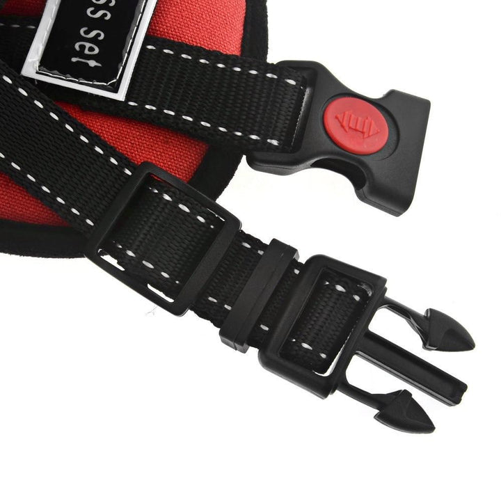 Dog Walking Harness | Bowlift
