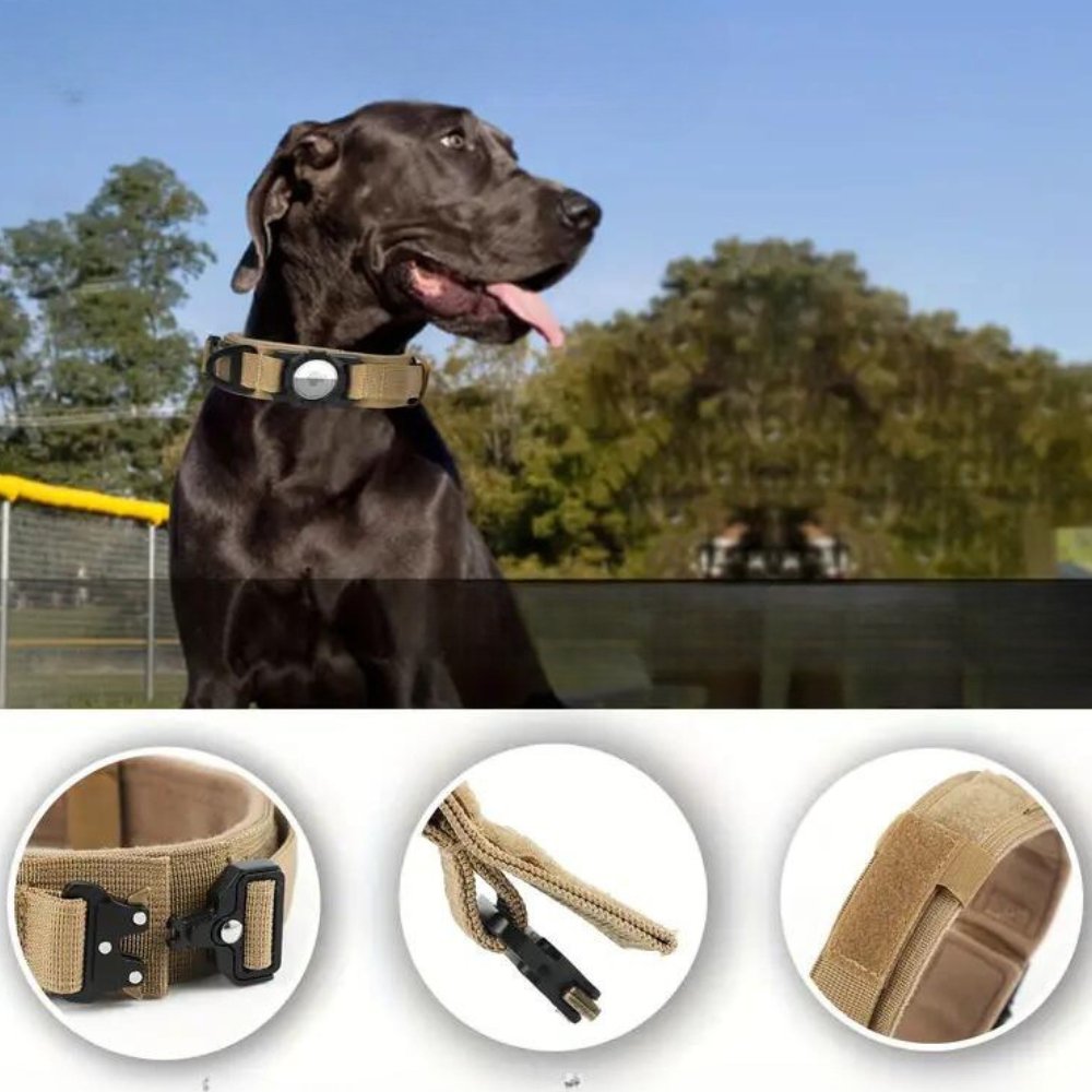 ProGuard • AirTag Dog Collar - AirTag Dog Collar - BowLift