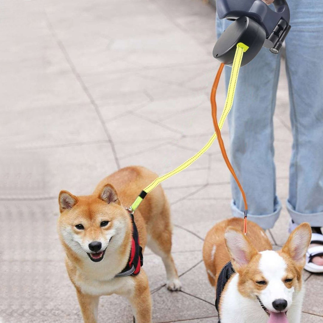 BowLift | PROPET DUO – Dual Retractable Dog Leash with LED Flashlight
