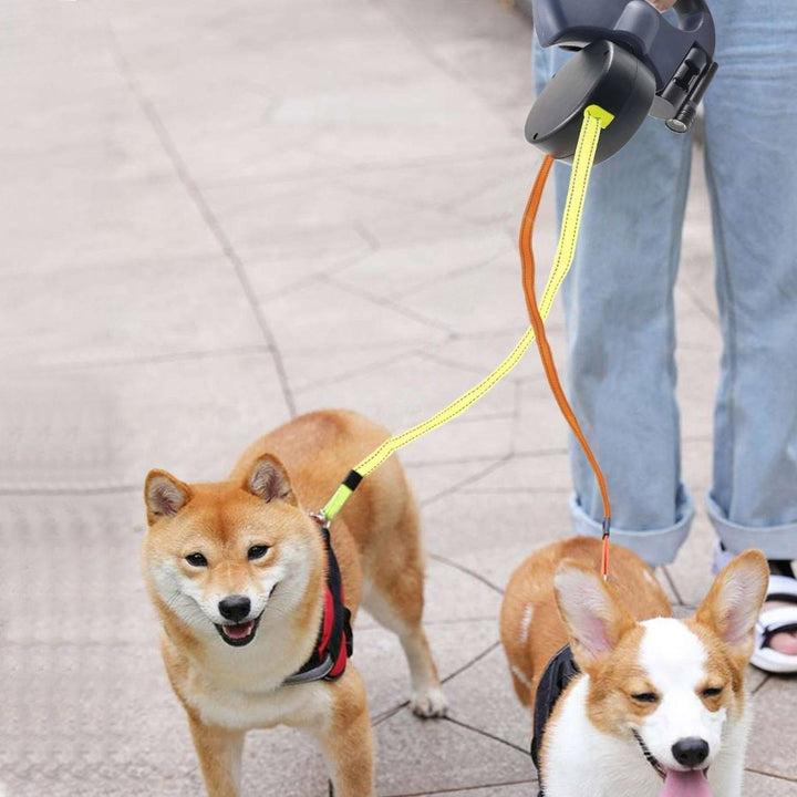BowLift | PROPET DUO – Dual Retractable Dog Leash with LED Flashlight