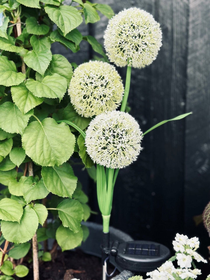 BowLift | SolarBloom – Magical light for your garden