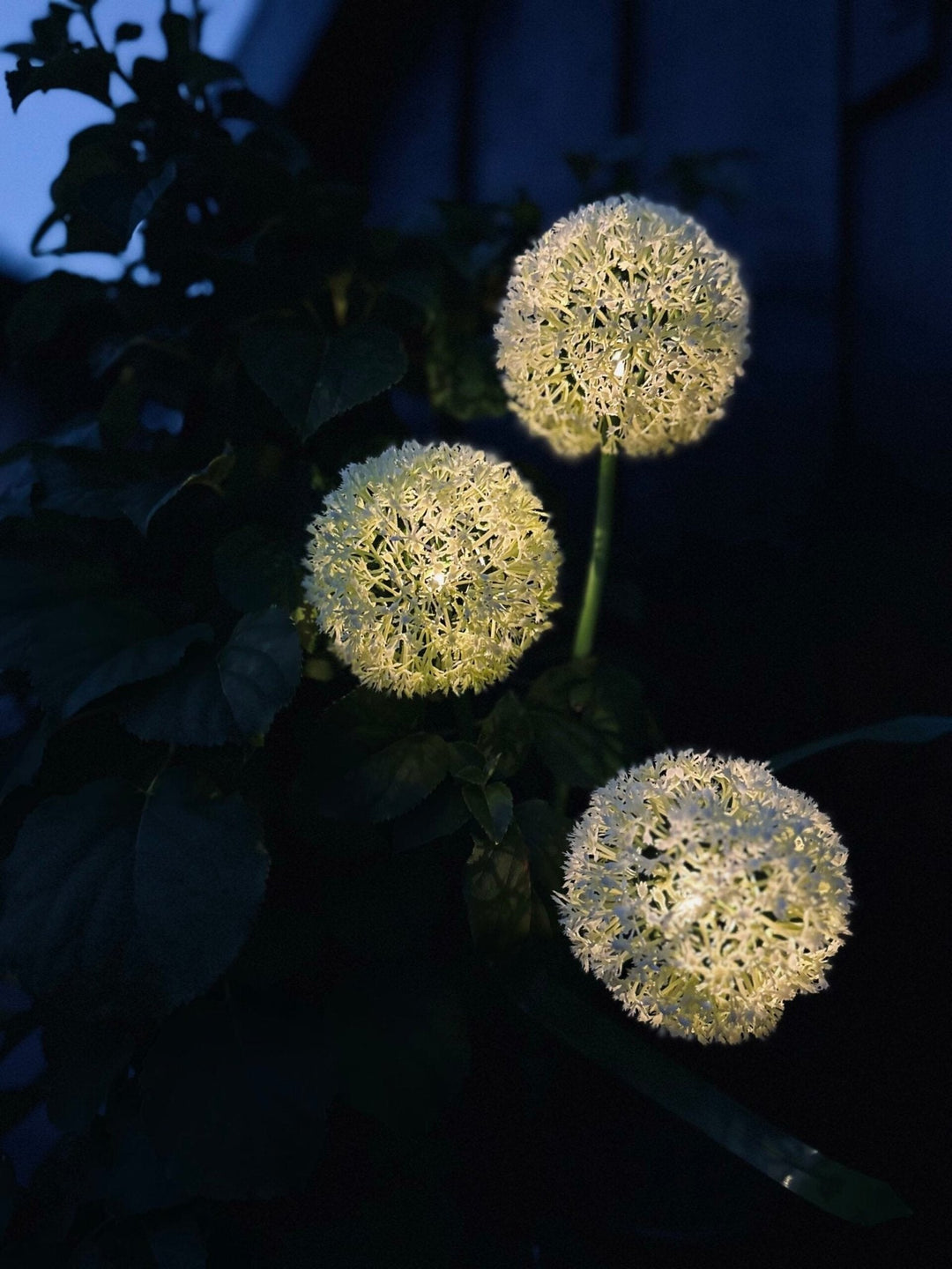 BowLift | SolarBloom – Magical light for your garden