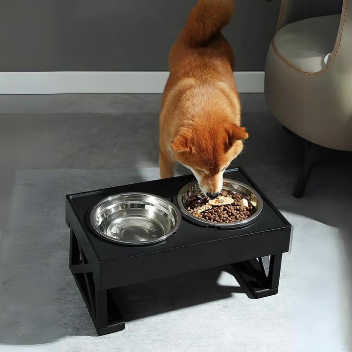 PupLift Raised Dog Bowl – Ergonomic & Slow Feeding for Healthy Meals | Bowlift